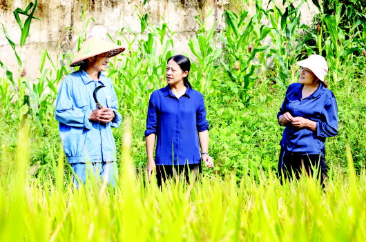 “明星范” 大湾村 