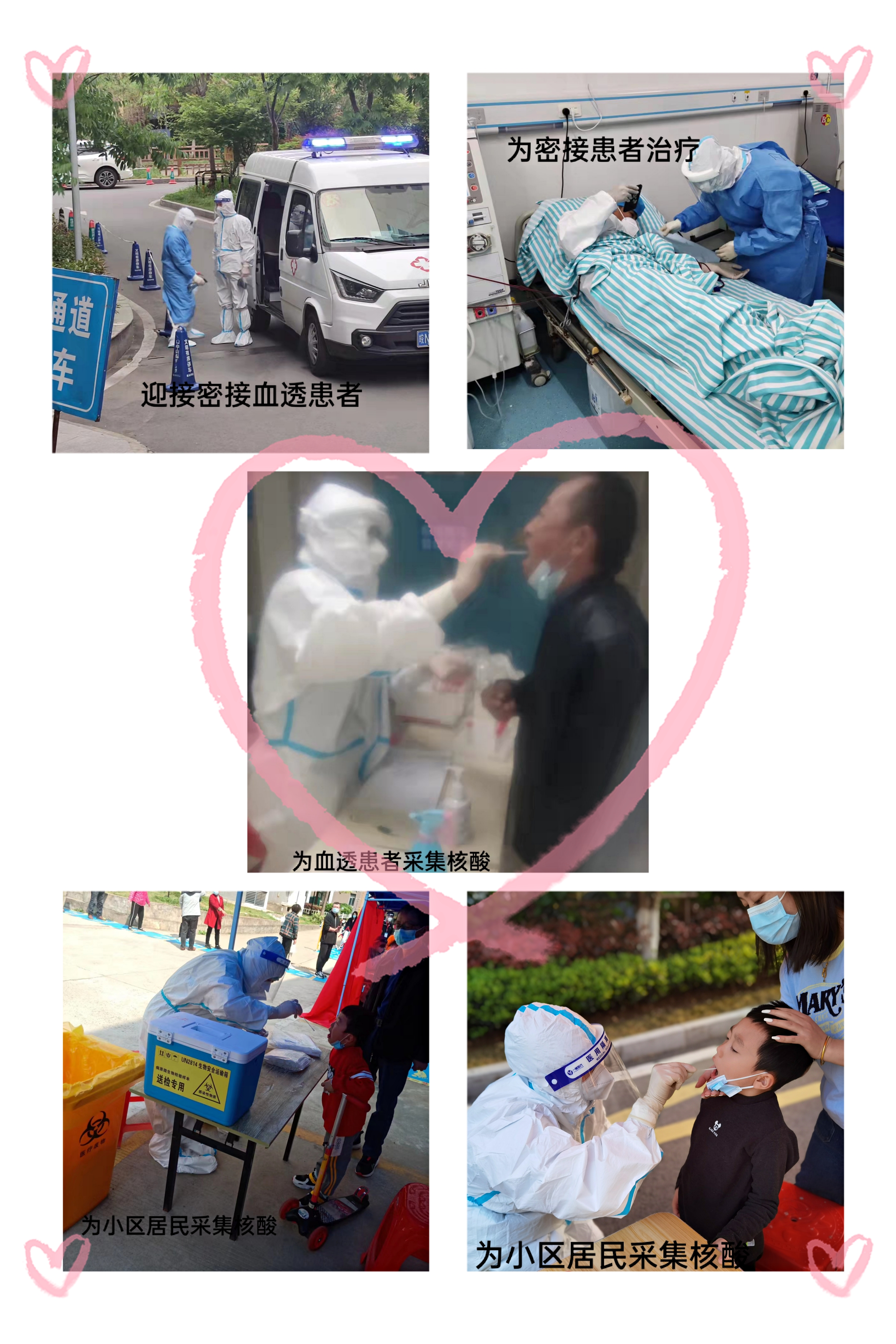 血透室的“疫”路守护者们