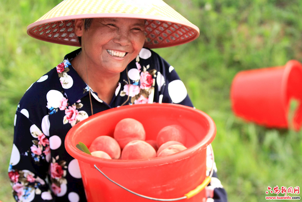 夯实村集体经济“家底儿”