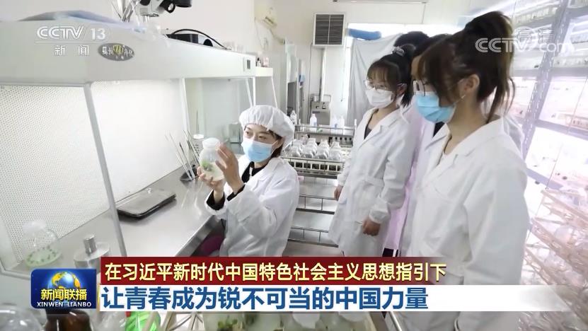 【在习近平新时代中国特色社会主义思想指引下】让青春成为锐不可当的中国力量