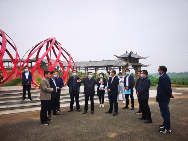 市人大调研组赴江淮果岭开展桃产业调研