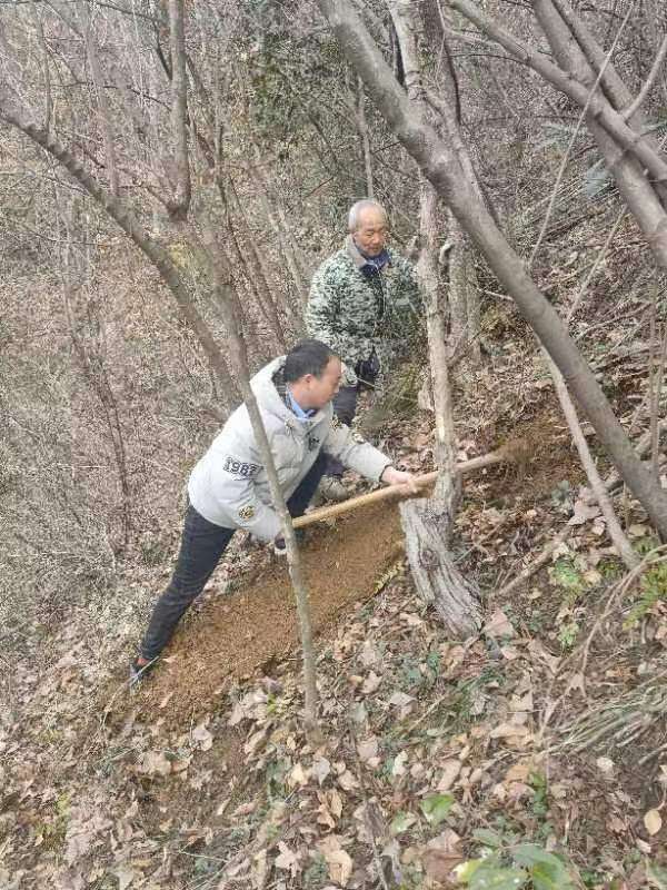安徽金寨年轻“特派村官”下乡记