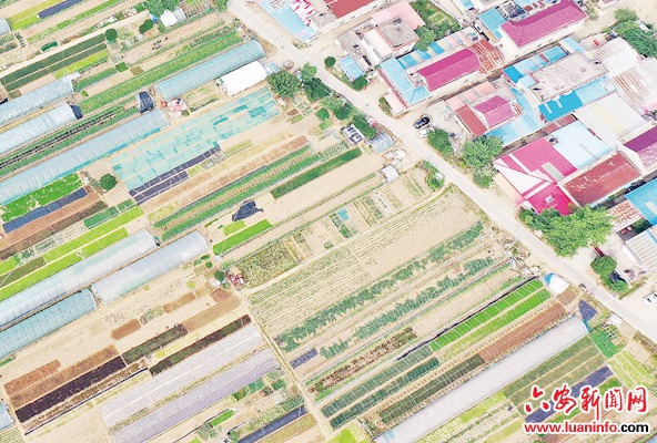 缤纷田园 乡村画卷