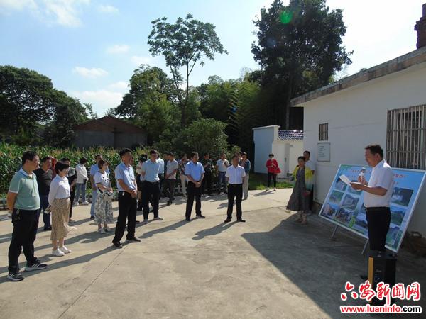 舒城县干汊河镇开展人居环境整治提升暨土地整治现场观摩活动