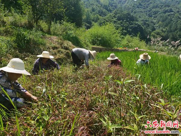 致敬！高温下的劳动者