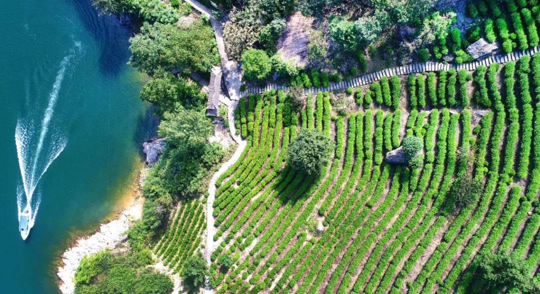 六安，再获第一！