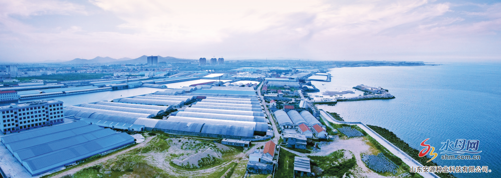 经略海洋，向海图强③|“小海参”长成“大产业”