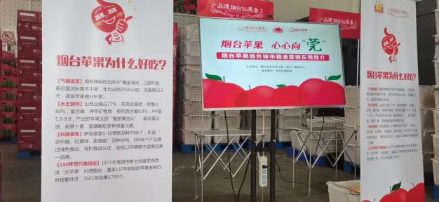 我与苹果有个“约会”！烟台苹果省外城市精准营销推介走进东莞