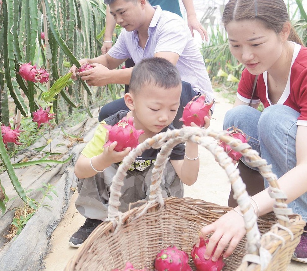 【美丽乡村行】巧打“特色牌” 奏响“振兴曲” 