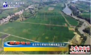 我市坚守耕地红线确保粮食安全