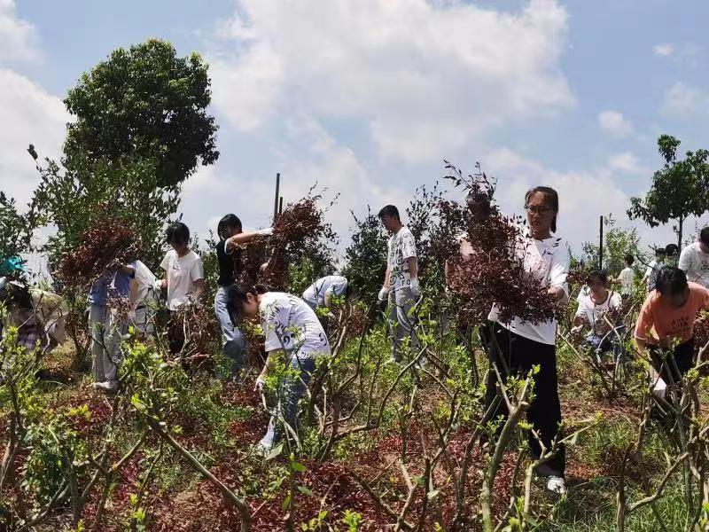 微信图片_20220728091247