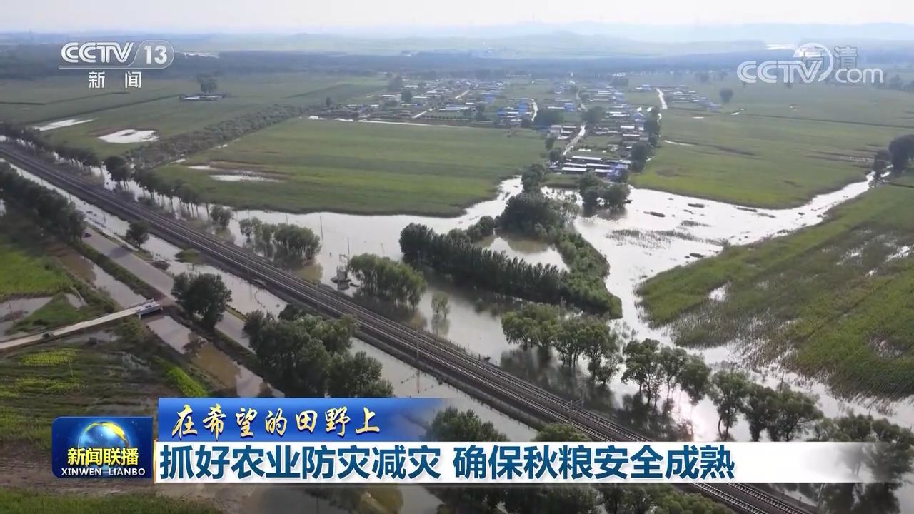 抓好农业防灾减灾 确保秋粮安全成熟