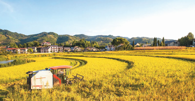 交出“丰收答卷” 端稳“中国饭碗”