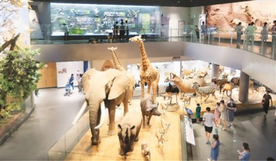 科普发展有了新蓝图（我在科普③）