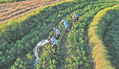 全力抗旱  保民生保生产