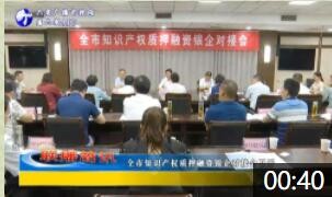 全市知识产权质押融资银企对接会召开