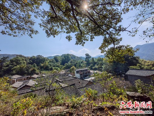 红色微电影《依依芳华》于金寨果子园乡正式开机