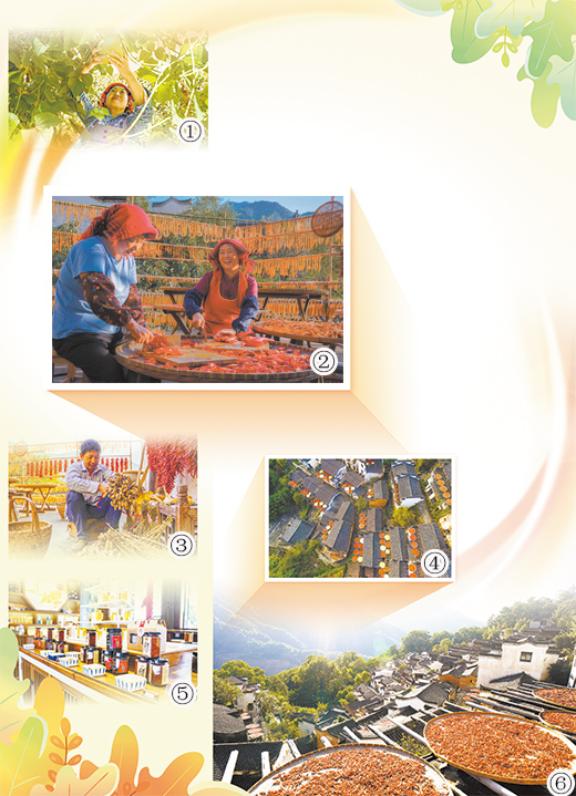 丰收的景象 增收的喜悦（走进传统村落）