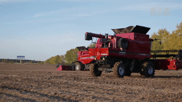 “黑土粮仓”迎秋收 大豆扩种见成效