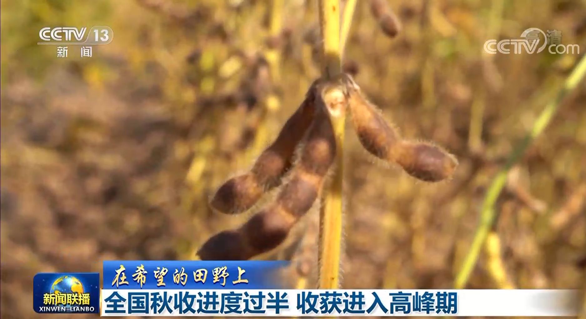 在希望的田野上｜全国秋收进度过半 收获进入高峰期