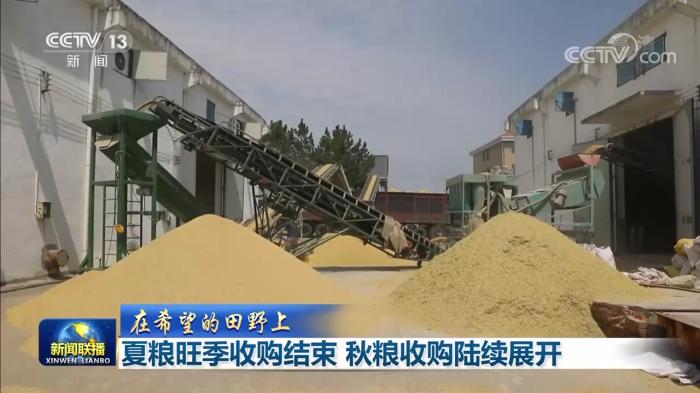 【在希望的田野上】夏粮旺季收购结束 秋粮收购陆续展开