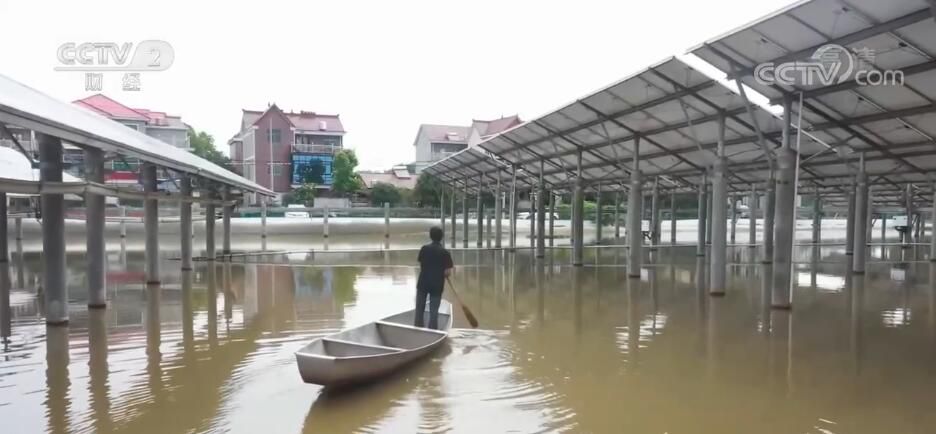 “秋风起 蟹脚肥” 兰江蟹批量上市 蟹农塘内套养稳定增收