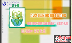 数说十年