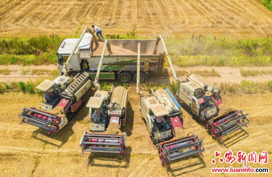 霍 邱：绘就高质量发展新画卷