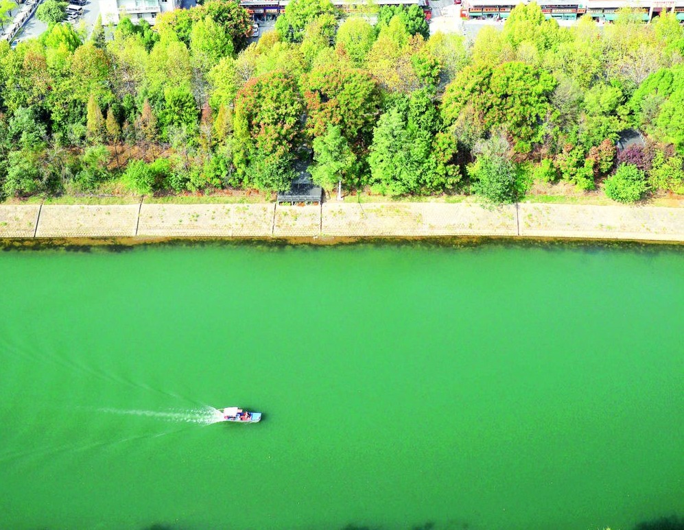 共享绿色发展生态红利