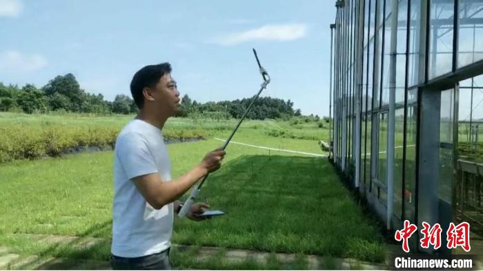 从企业高管到农田主播 台湾小伙大陆投身大健康产业