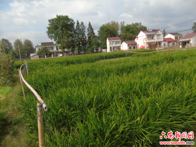 62ed9df6fa1643edb812ab9858e913e2.jpg 62ed9df6fa1643edb812ab9858e913e2.jpg