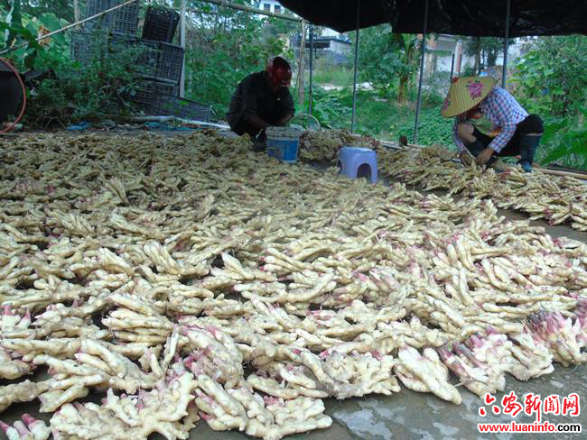 1a71130b56ea403593f6af4198dc26d5.jpg 1a71130b56ea403593f6af4198dc26d5.jpg