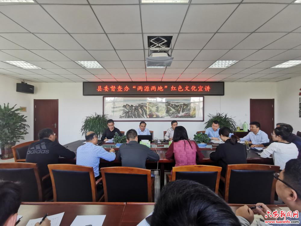 金寨县委督查办：“严、活、实”三字经提升党组织生活质效