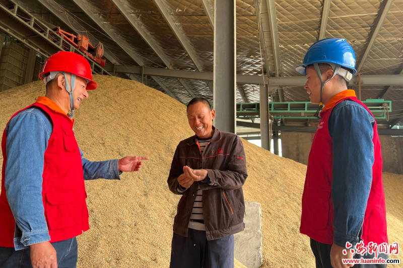 安徽霍邱：农村电网巩固提升 当好粮食安全“守护者”