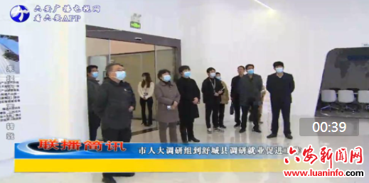 市人大调研组到舒城县调研就业促进工作