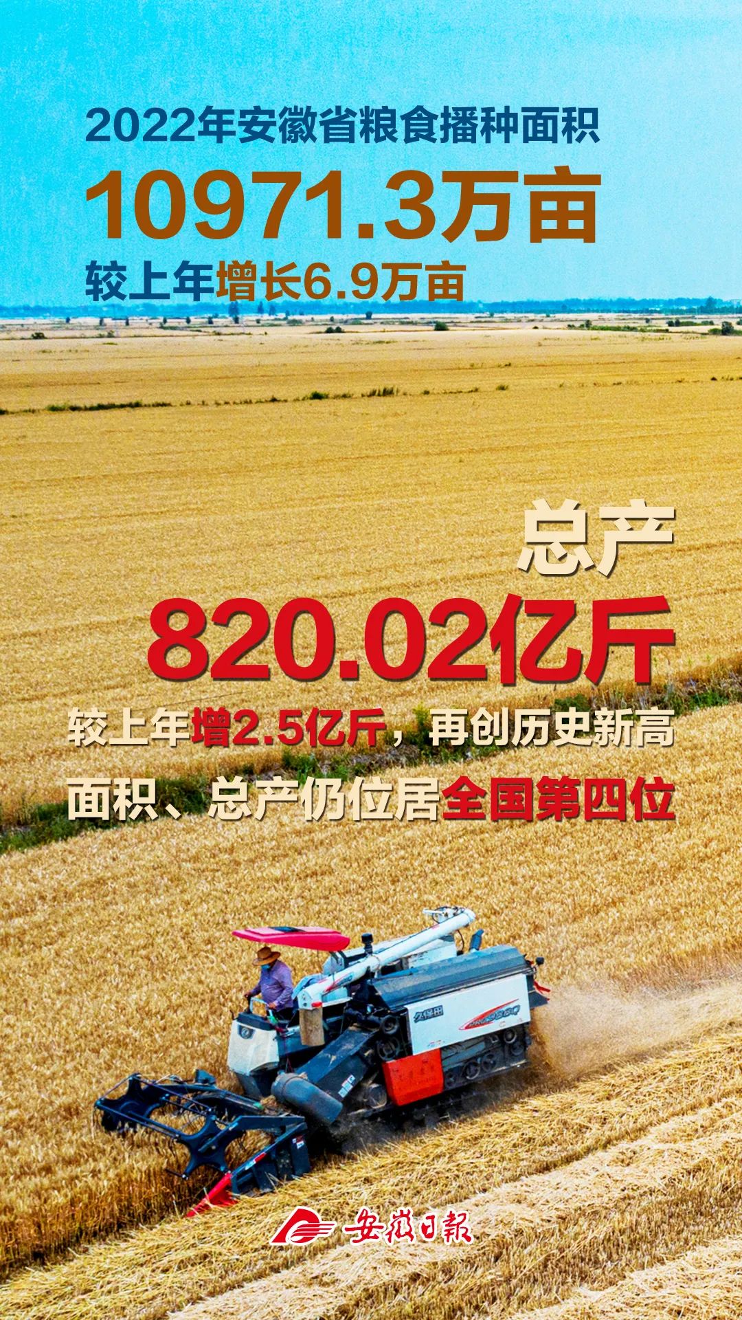 再创新高！安徽今年粮食总产820.02亿斤