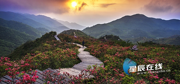 星辰文艺 | 龚曙光：蔡哥或者蔡文豪