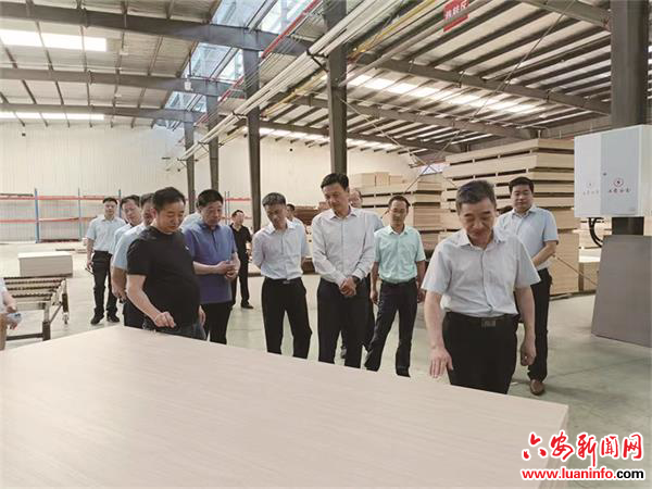 【人大代表履职在线】市人大常委会：高质量履职护航老区绿色振兴赶超发展