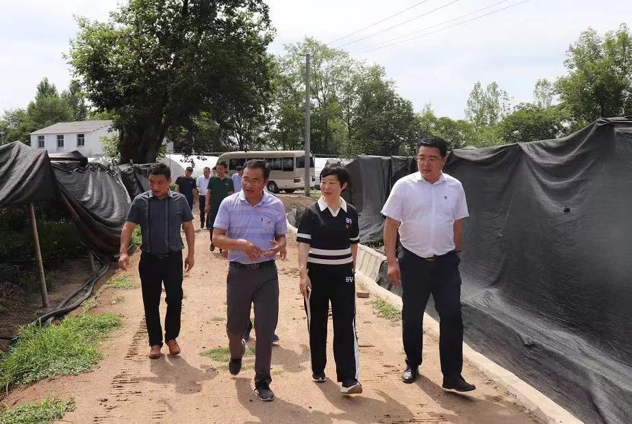 市城管局开展迎接党的二十大 庆祝建党101周年系列活动