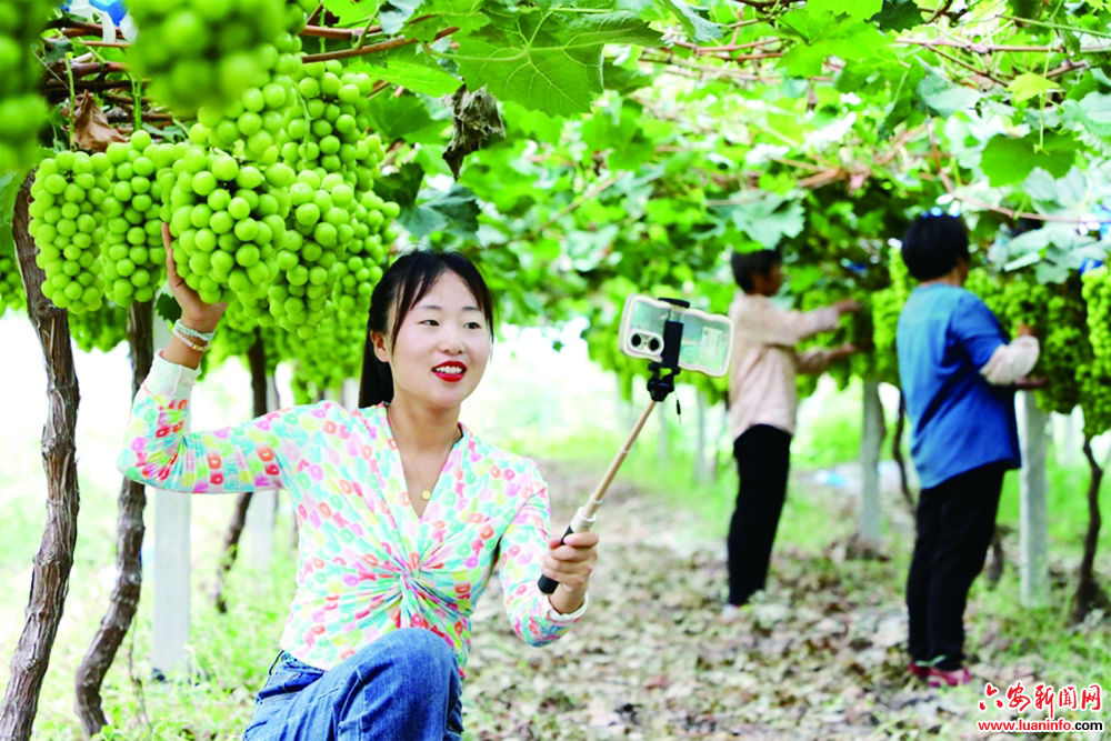 耕耘春秋不负奋进路 擘画乡村振兴好景图 