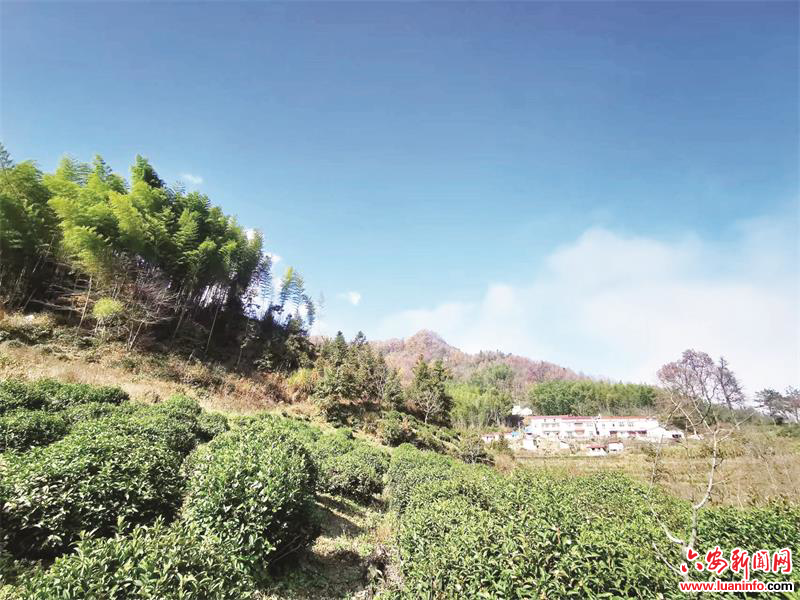 bdf268a77cf9422a8652cbdbbfe23817.jpg bdf268a77cf9422a8652cbdbbfe23817.jpg