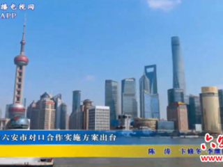 上海市与六安市对口合作实施方案出台