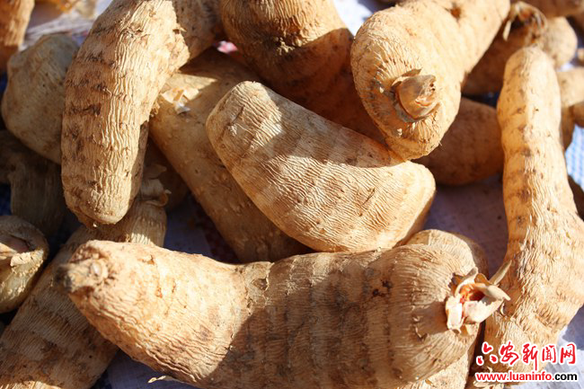 907cf0ec76c74d978c04547f6c6d98a5.jpg 907cf0ec76c74d978c04547f6c6d98a5.jpg