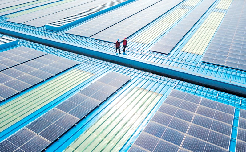 奋进的春天 | 追光逐日，打造产业发展新引擎