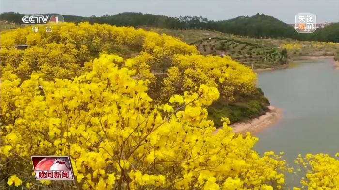 春天里的中国｜万物复苏 春意盎然