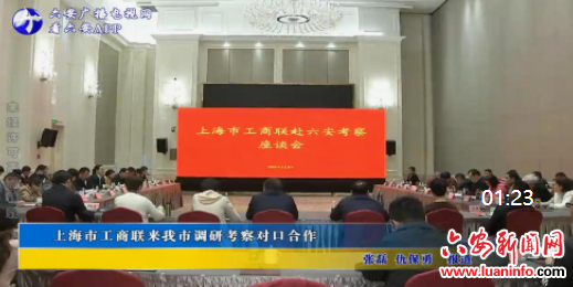 上海市工商联来我市调研考察对口合作
