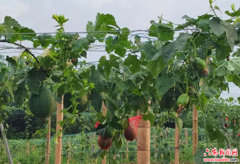 d8e313fd97aa479eb4f59dda2d2e43b3.jpg d8e313fd97aa479eb4f59dda2d2e43b3.jpg