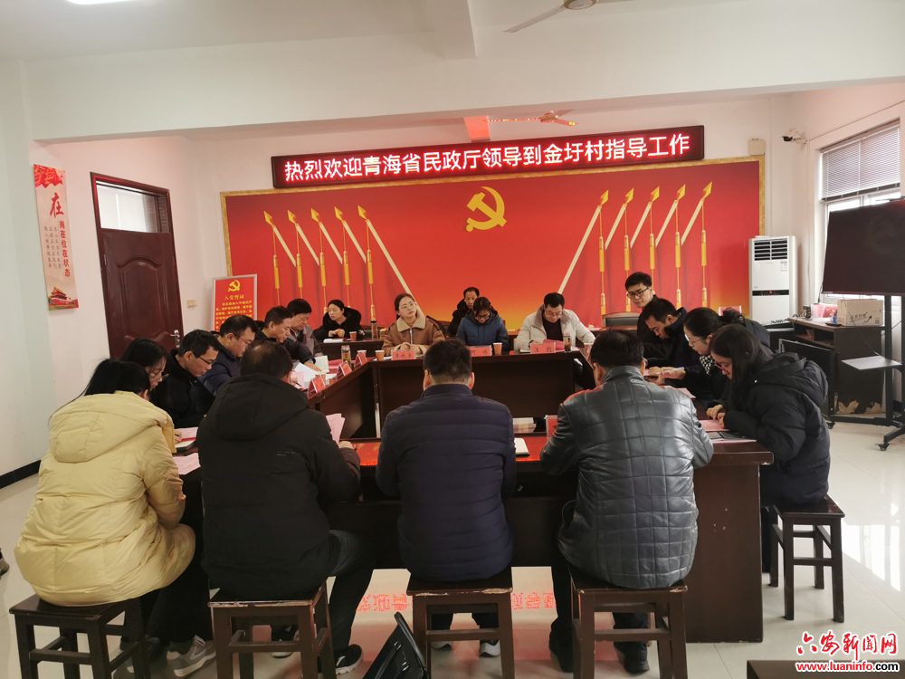 小村也有大作为 ——记舒城县桃溪镇金圩村“救急难”工作