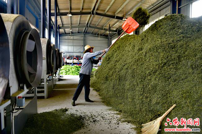 e0a4f7d0ee0c4952b66bfadbe71586fa.jpg e0a4f7d0ee0c4952b66bfadbe71586fa.jpg