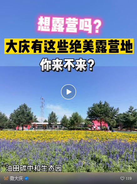 报名啦！走啊，去露营～～坐标：6月3日-4日龙凤湿地公园